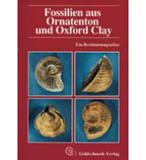 Fossilien aus Ornatenton und Oxfort Clay