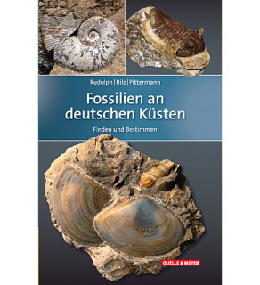 Fossilien an deutschen Küsten
