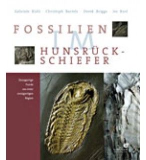 Fossilien im Hunsr