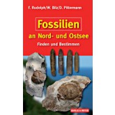 Fossilien an Nord- und Ostsee