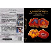 DVD & CD: Yellow Cat Redwood, a Jurassic Conifer