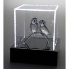 Verlichte Presentatie Box 145x125x125 mm.