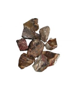 Versteend Hout ruw, 1 kg.