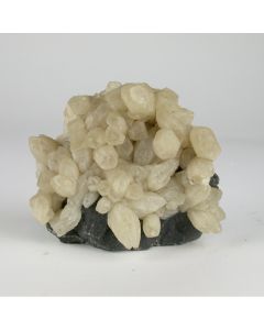 Calciet - Mexico