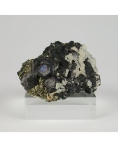 Sfaleriet met Calciet en Pyriet uit Trepca in Kosovo 