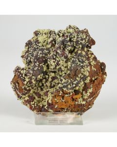 Mimetesiet of mimetiet Mapimi Mexico