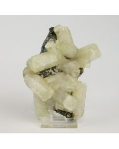 Calciet met Galeniet - Sweetwater mine - Joplin Fields - USA