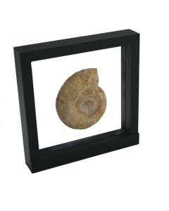 3D Zwevend display-raam 180 x 180 mm. zwart