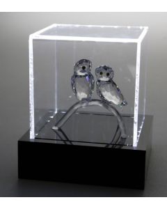 Verlichte Presentatie Box 145x125x125 mm.