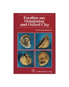 Fossilien aus Ornatenton und Oxfort Clay