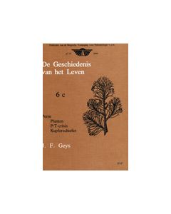 Geschiedenis v.h. leven - 6c - Perm, planten