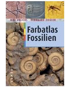 Farbatlas Fossilien