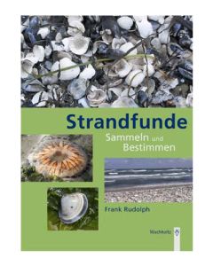Strandfunde sammeln und bestimmen