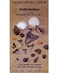 Haifischzähne 1
