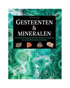 gesteenten en minerlaen niwue druk 2021