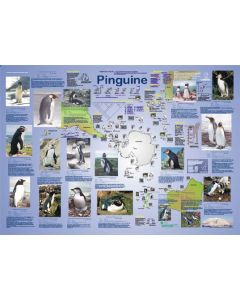 Pinguine