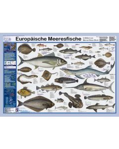 Europ