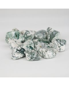 Dendriet Agaat- M
