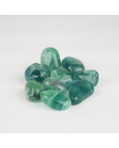 Fluoriet Blauw groen - S